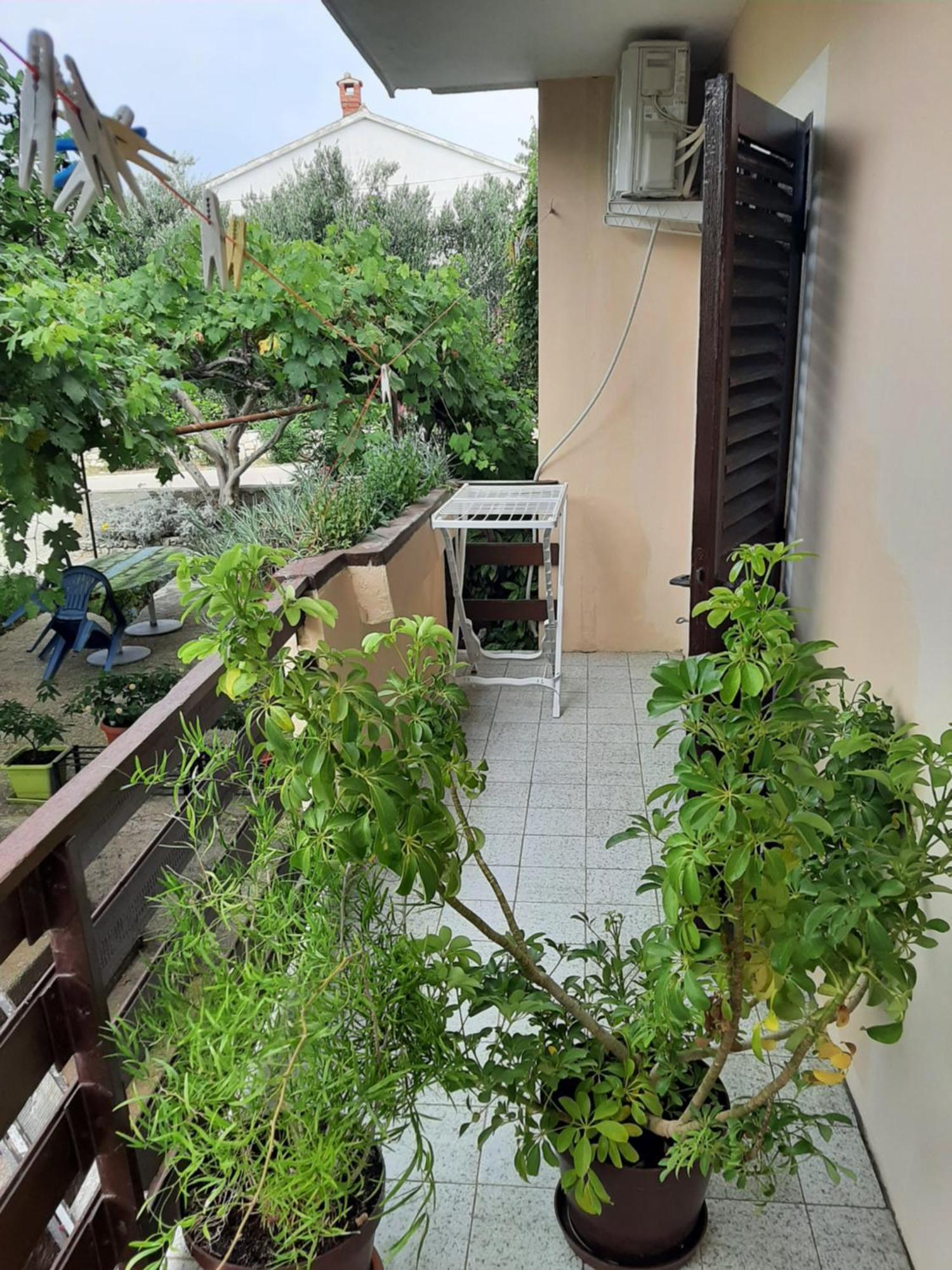 Apartmani Marija Povljana Phòng bức ảnh