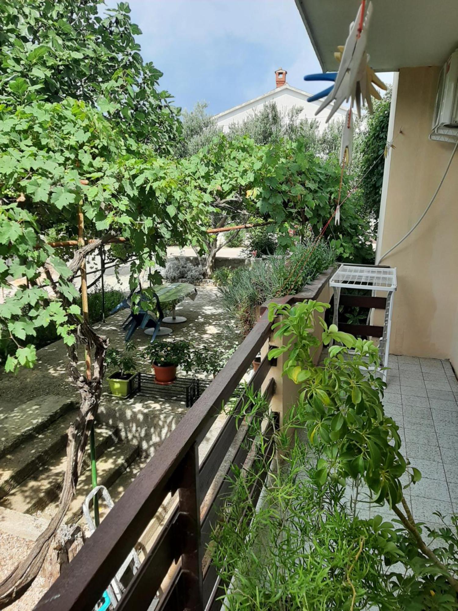 Apartmani Marija Povljana Phòng bức ảnh