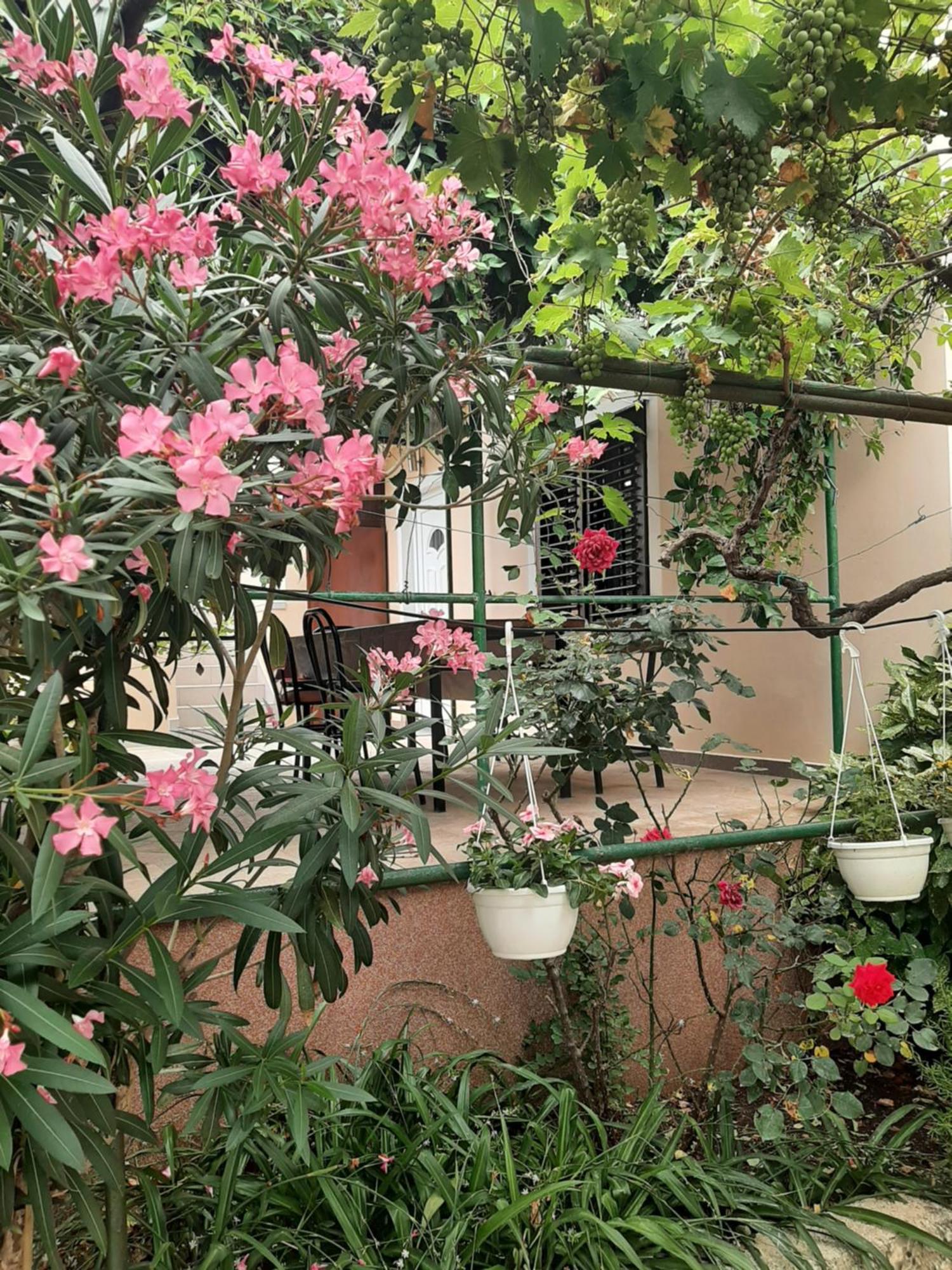 Apartmani Marija Povljana Phòng bức ảnh
