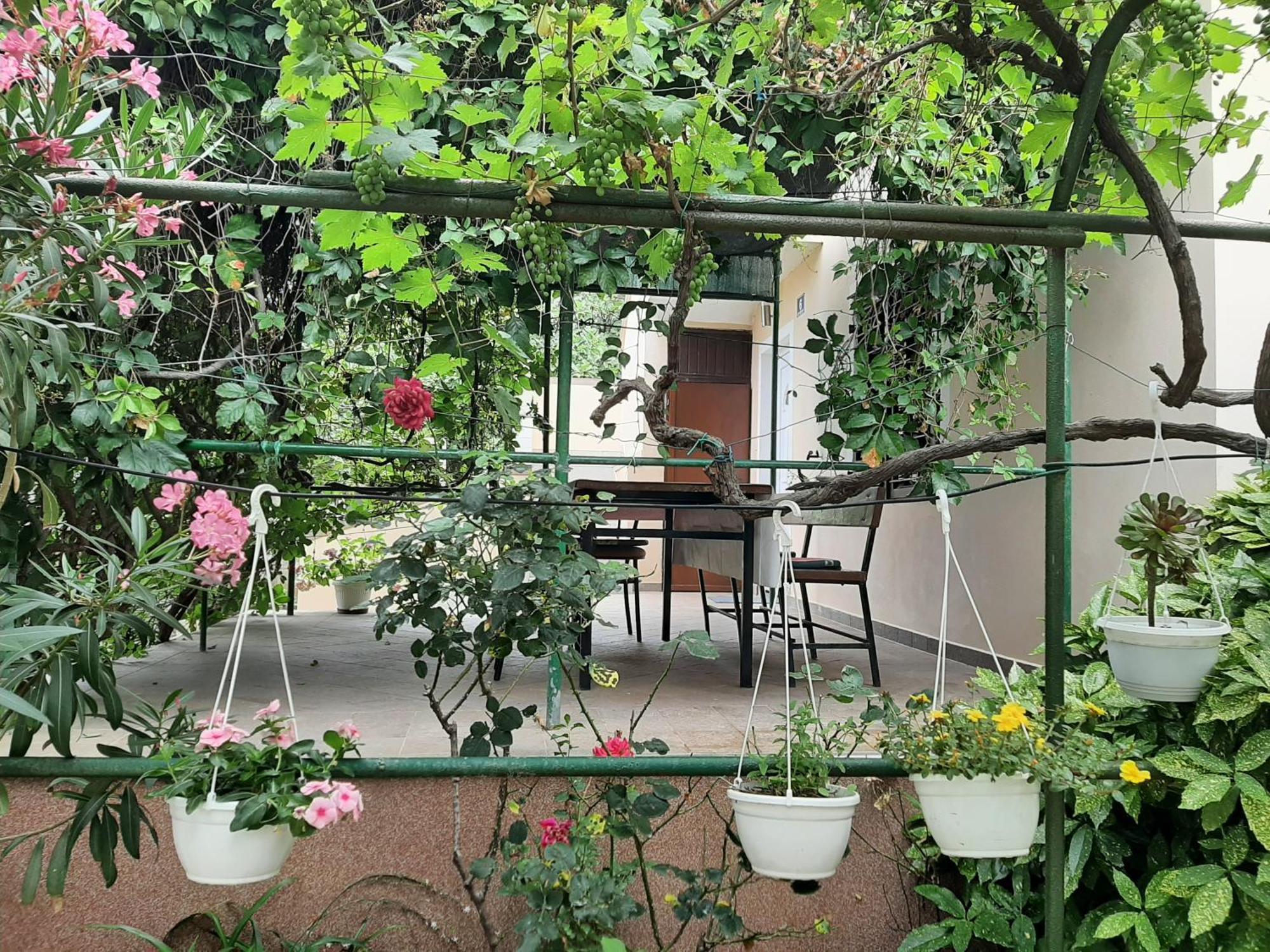 Apartmani Marija Povljana Phòng bức ảnh