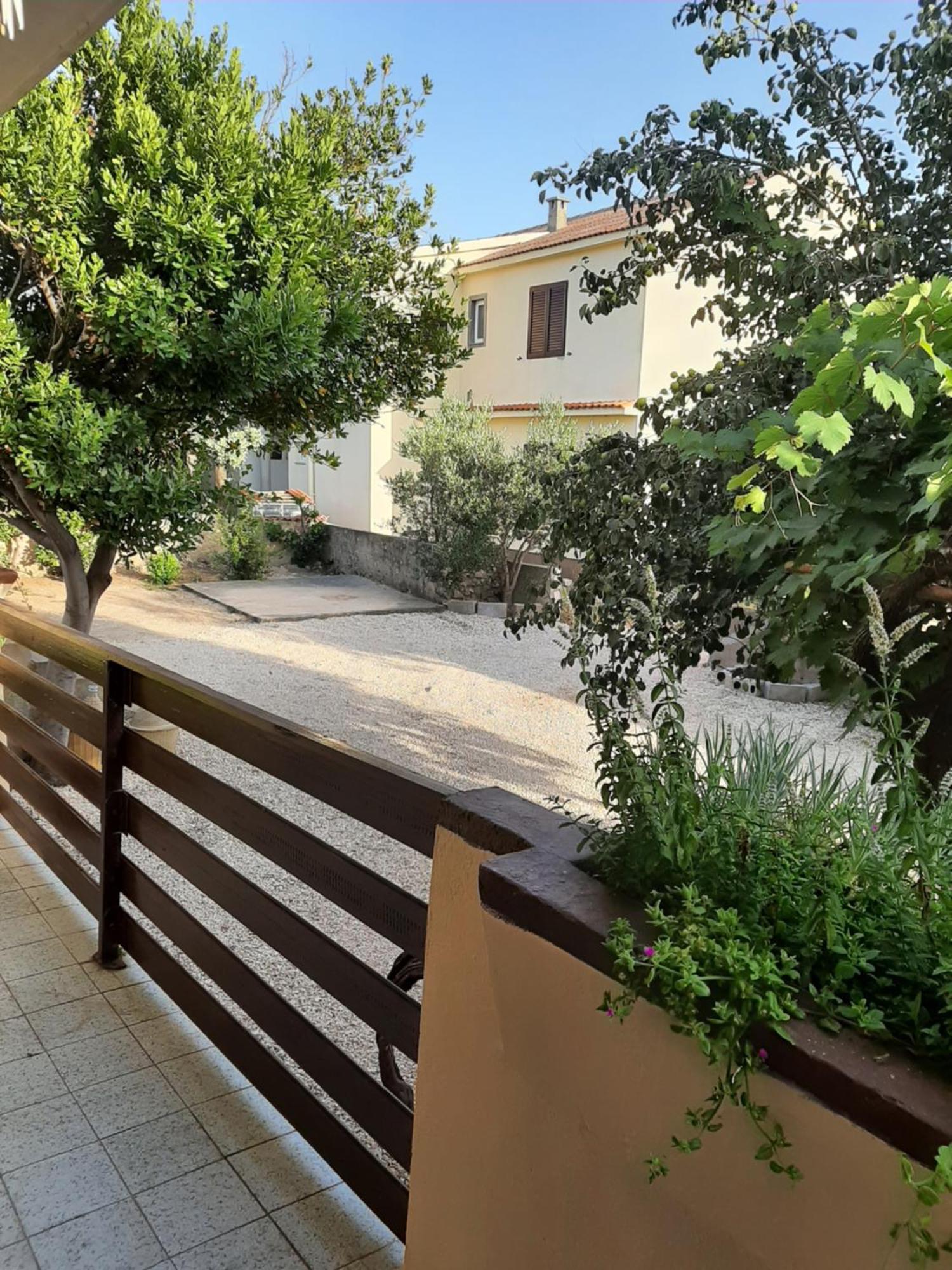 Apartmani Marija Povljana Phòng bức ảnh